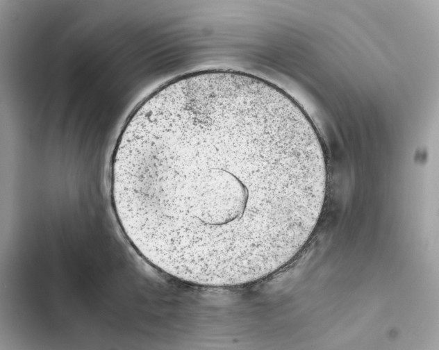 X0000101990807200808151422
