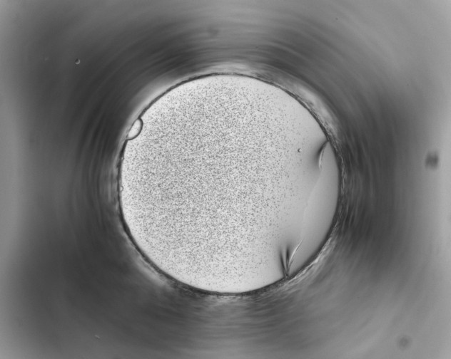 X0000101990808200808151422