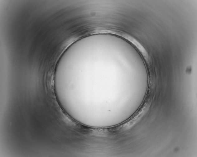 X0000101990809200808151422