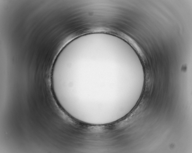 X0000101990810200808151422