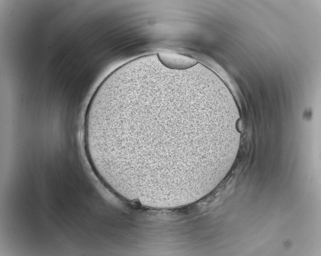 X0000101990811200808151422