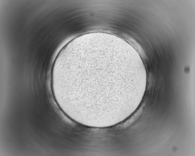 X0000101990812200808151422