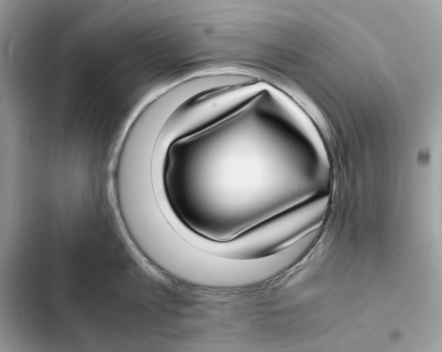 X0000101990813200808151422