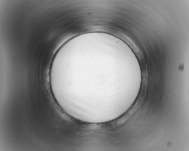 X0000101990814200808151422