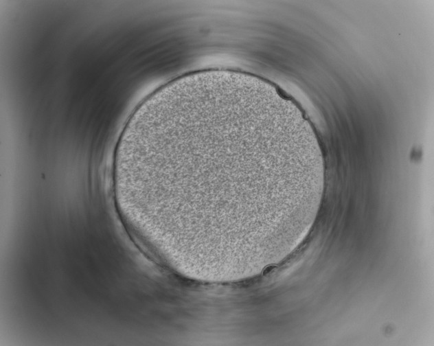 X0000101990815200808151422