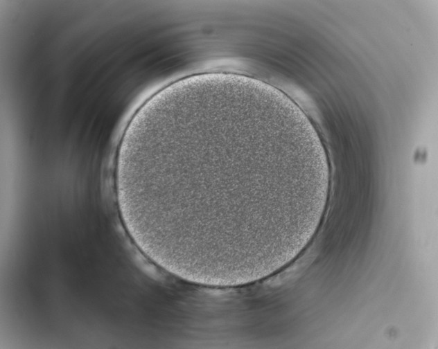 X0000101990816200808151422