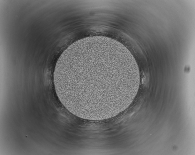 X0000101990819200808151422