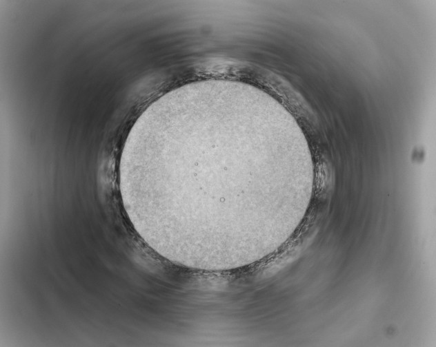 X0000101990820200808151422
