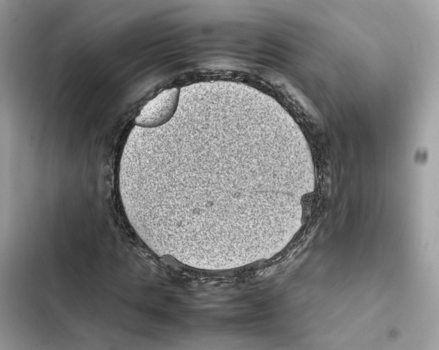 X0000101990821200808151422