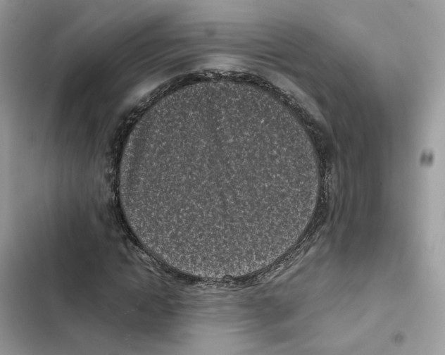 X0000101990822200808151422
