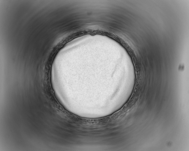 X0000101990823200808151422