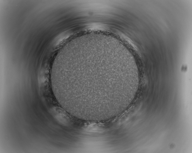 X0000101990824200808151422