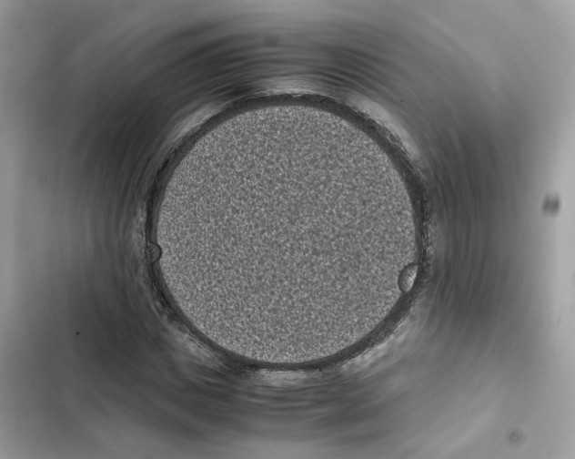 X0000101990825200808151422