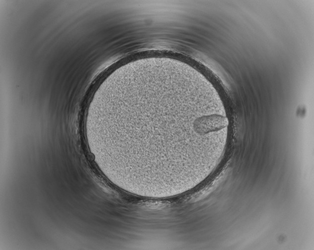 X0000101990826200808151422