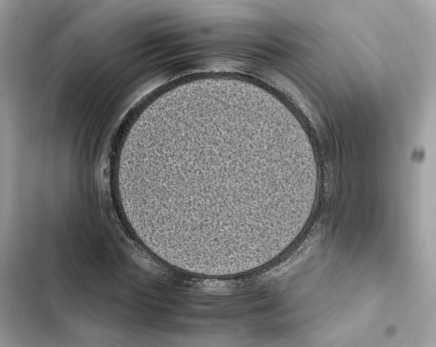 X0000101990827200808151422