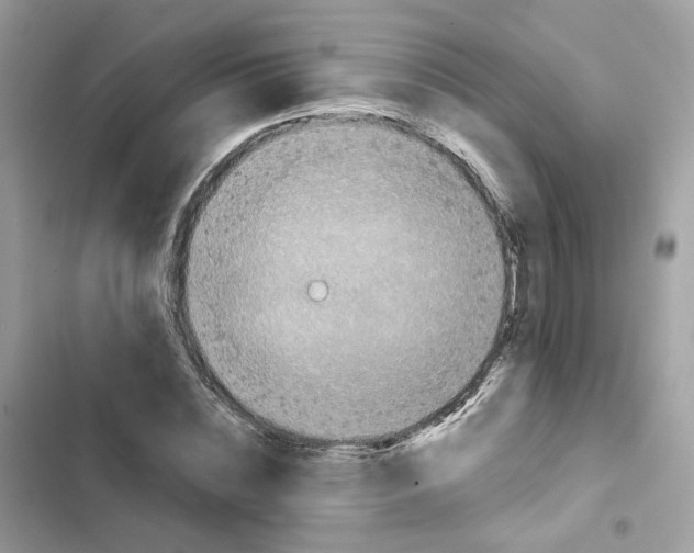 X0000101990828200808151422