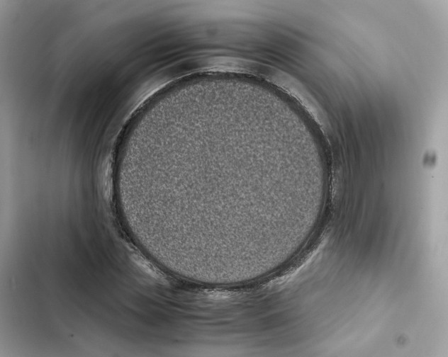X0000101990829200808151422