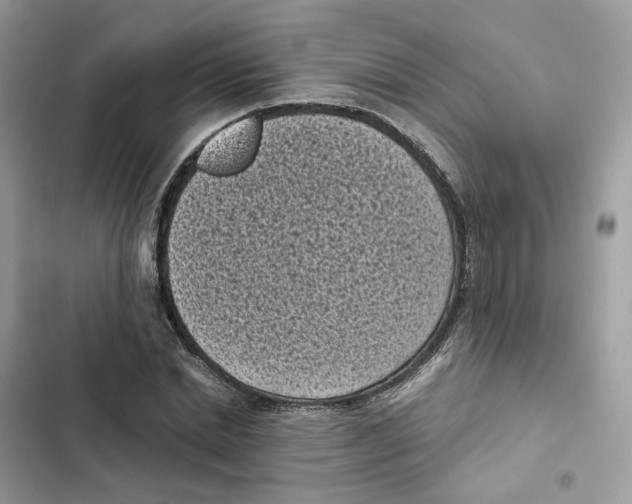 X0000101990830200808151422