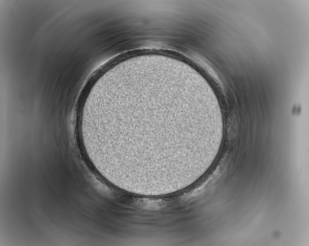 X0000101990831200808151422