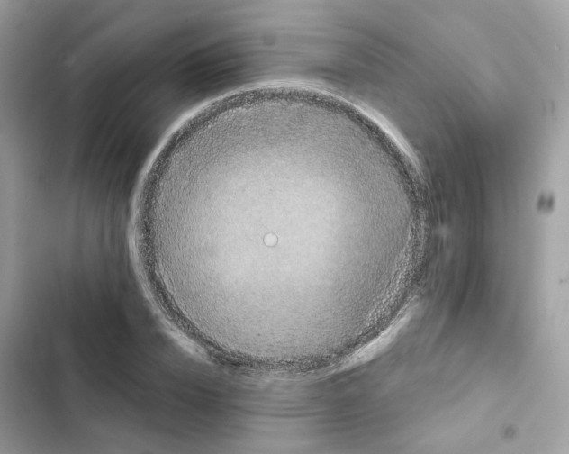 X0000101990832200808151422