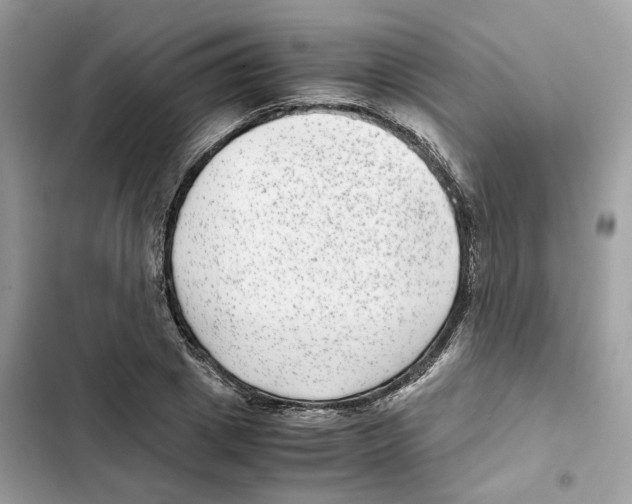 X0000101990833200808151422
