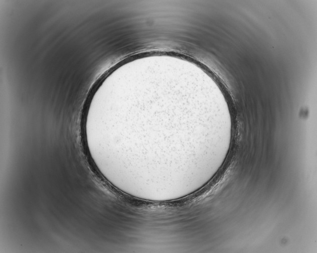 X0000101990834200808151422