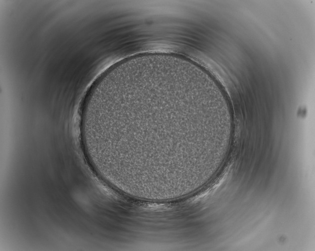 X0000101990835200808151422