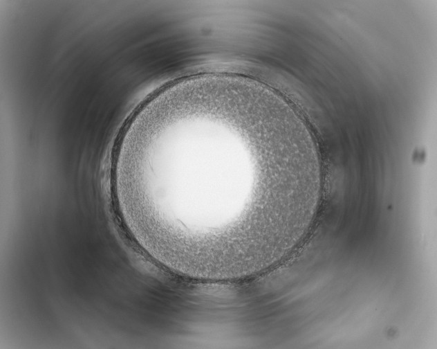 X0000101990836200808151422