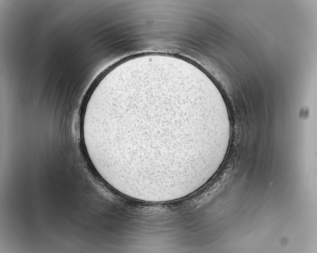 X0000101990838200808151422
