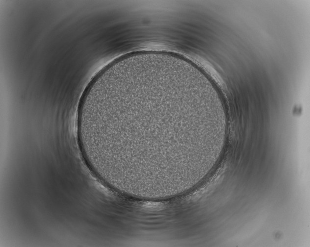 X0000101990839200808151422