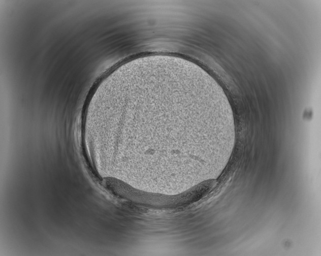 X0000101990840200808151422