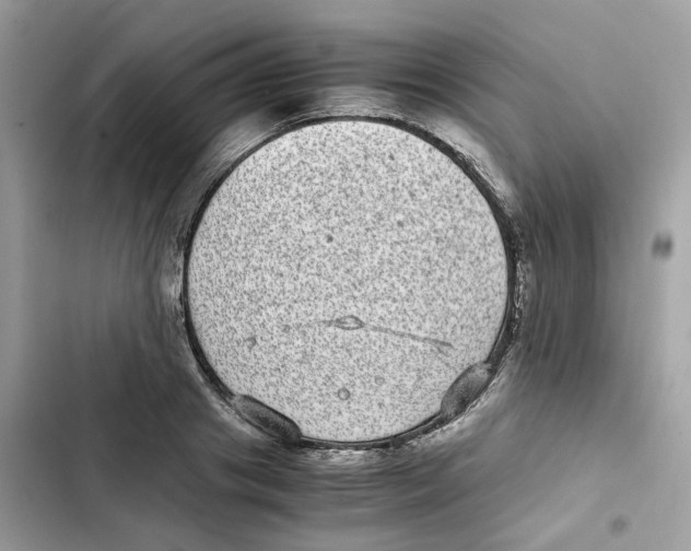 X0000101990841200808151422