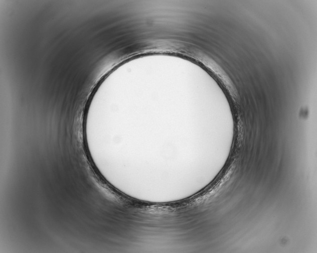 X0000101990842200808151422