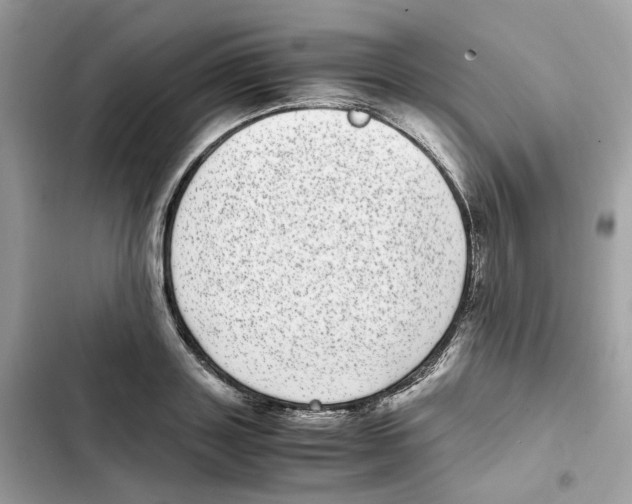 X0000101990843200808151422
