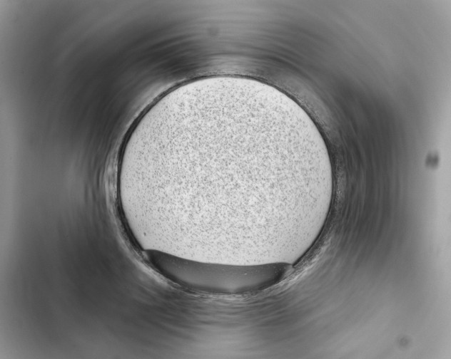 X0000101990844200808151422