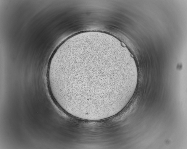 X0000101990847200808151422