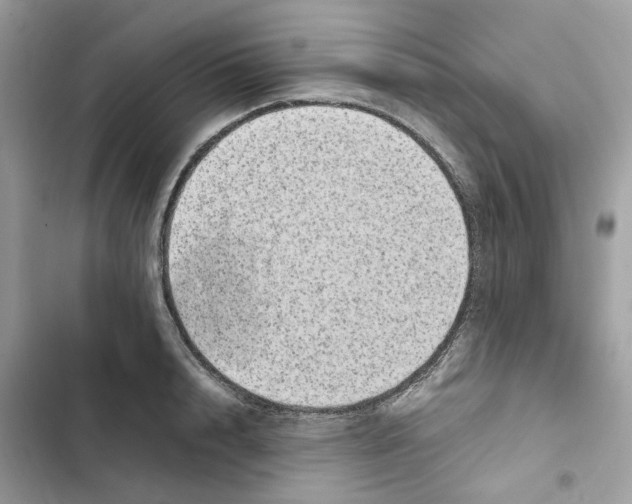X0000101990848200808151422
