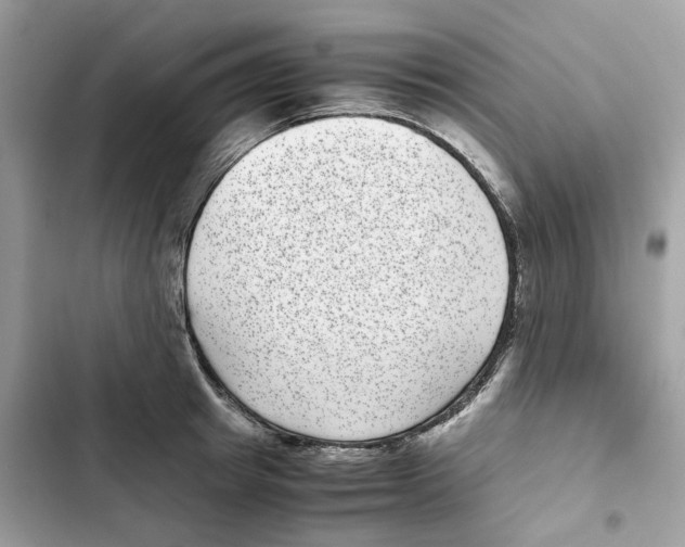 X0000101990849200808151422