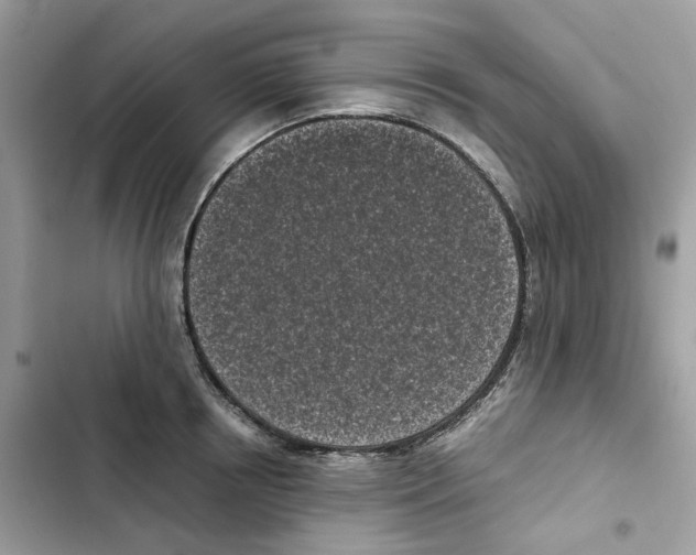X0000101990850200808151422