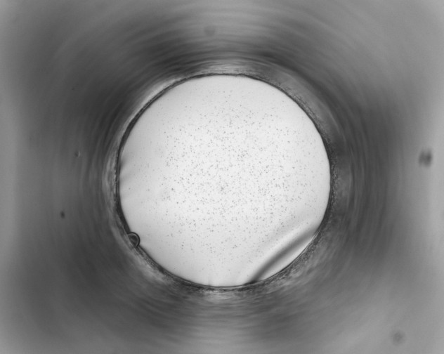 X0000101990852200808151422