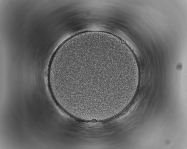 X0000101990853200808151422