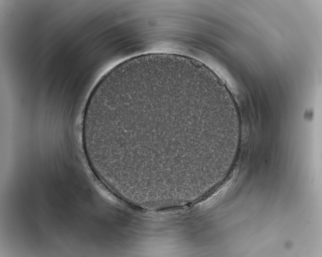 X0000101990854200808151422