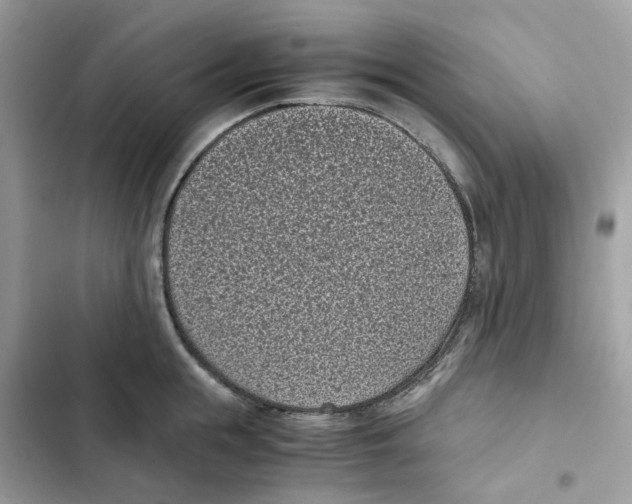 X0000101990855200808151422