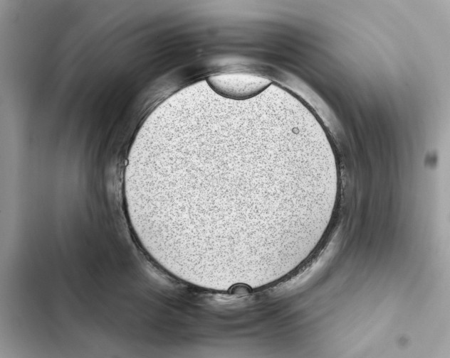 X0000101990857200808151422