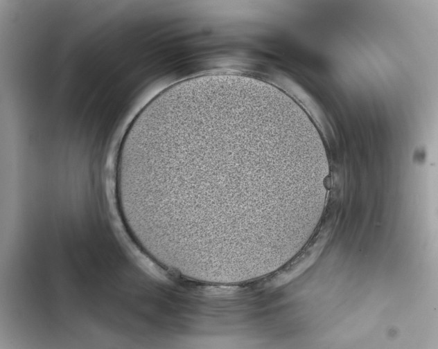 X0000101990859200808151422