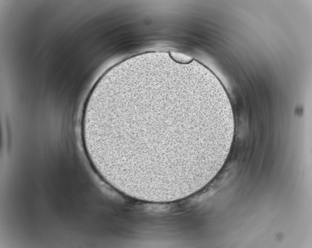 X0000101990861200808151422
