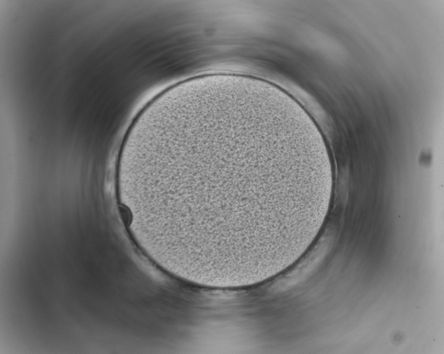X0000101990862200808151422