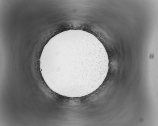 X0000101990865200808151422