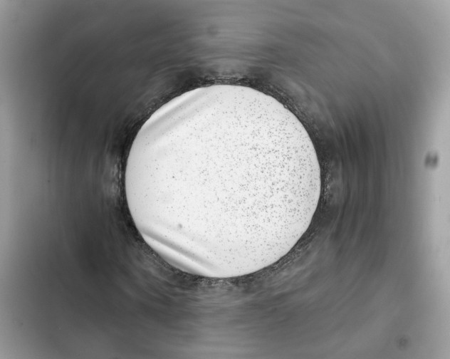X0000101990866200808151422