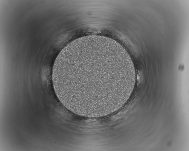 X0000101990867200808151422